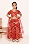 Buy_Samyukta Singhania_Red Lehenga And Blouse Polyester Printed Bandhani Set _Online_at_Aza_Fashions