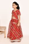 Buy_Samyukta Singhania_Red Lehenga And Blouse Polyester Printed Bandhani Set 