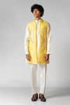 Buy_Paarsh_Yellow Nehru Jacket Organza Hand Embroidered Flying Birds Kurta Set With _Online_at_Aza_Fashions