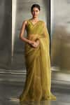 Buy_Charkhee_Green Saree Organza Hand Embroidered Nakshi V Neck With Blouse _at_Aza_Fashions