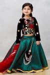 Pinkcow designs pvt ltd_Black Choli Velvet Embroidery Floral And Lehenga Set _Online_at_Aza_Fashions