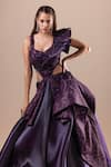 RAJ ARORA_Purple Net Embellished Crystal V Neck Swarovski Gown _Online_at_Aza_Fashions