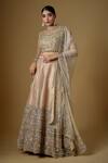 Buy_FATIZ_Gold Tulle Cut Work, Sequins, Zari High Neck Embroidered Blouse Lehenga Set _at_Aza_Fashions