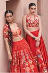 Buy_Archana Shah_Red Bamboo, Silk Sequins, Zari, Embroidery V-neck Blouse And Lehenga Set 