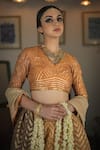 Swatti Kapoor_Orange Handwoven 60gm Chanderi Embroidered Gota V Neck Anand Hand Saree Blouse _Online_at_Aza_Fashions