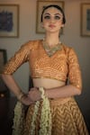 Buy_Swatti Kapoor_Orange Handwoven 60gm Chanderi Embroidered Gota V Neck Anand Hand Saree Blouse _Online_at_Aza_Fashions