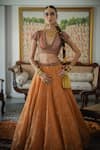 Shop_Swatti Kapoor_Orange Handowoven Yarn Dyed Silk Foil Printed Farid Zari Striped Lehenga _at_Aza_Fashions