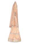 Buy_MINIME ORGANICS_Peach Chinon Lining Cotton Shantoon Chevron And Aari Kurta Sharara Set _Online_at_Aza_Fashions