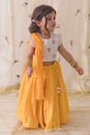 Buy_Tiber Taber_Yellow Chanderi Cotton Silk Embroidered Floral Flower Lehenga Set 