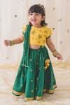 Buy_Tiber Taber_Green 100% Cotton Embroidered Floral Check Lehenga Set _at_Aza_Fashions