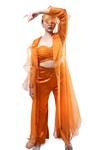 Shop_Pooja Kankariya_Orange Organza Solid Jacket Lapel Collar Sheer Ruffle Pant Set _Online_at_Aza_Fashions