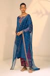 Shop_Sarang Kaur_Blue Organza Silk Hand Embroidered Thread Tarra Geometric Floral Dupatta _at_Aza_Fashions