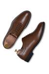 Shop_Wednesday Lifestyle_Brown Howard Solid Oxford Shoes _at_Aza_Fashions