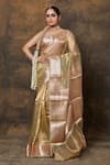 Buy_Pinki Sinha_Green Tissue Handwoven Florette Border Saree With Running Blouse _at_Aza_Fashions