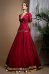 Buy_Ahi Clothing_Maroon Heavy Georgette Hand Embroidered Mirrors V-neck Lehenga Set 