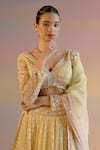 Buy_SHASHANK ARYA_Yellow Organza Embroidery Pearl Plunge V Neck Leaf Stripe Bridal Lehenga Set 