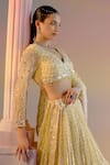 Shop_SHASHANK ARYA_Yellow Organza Embroidery Pearl Plunge V Neck Leaf Stripe Bridal Lehenga Set 