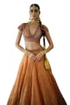 Swatti Kapoor_Orange Handowoven Yarn Dyed Silk Foil Printed Farid Zari Striped Lehenga _at_Aza_Fashions