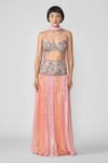 Buy_Aisha Rao_Pink Tulle Embellished Sequin Cutwork Sylphine Applique Pleated Lehenga Set _at_Aza_Fashions