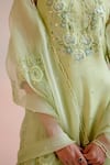 Chandrima_Green Silk Organza Embroidery Flower Cutwork Dupatta _Online_at_Aza_Fashions