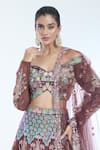 Shop_Aisha Rao_Brown Tulle Applique Trencadis Off Shoulder Embellished Lehenga Set _Online_at_Aza_Fashions