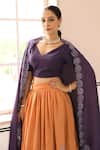 Pheeta_Orange Lehenga And Blouse Cotton Hand Painted V Neck Amber Set _Online_at_Aza_Fashions