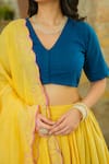 Pheeta_Yellow Lehenga And Blouse Cotton Hand Painted Peacock Feather V Neck Set _Online