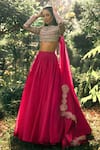 Shop_Bhumika Sharma_Pink Net Embroidered Sequins Closed Round Lehenga Blouse Set _Online_at_Aza_Fashions