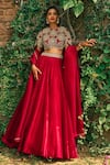 Buy_Bhumika Sharma_Red Organza Embroidered Flower Closed Round Lehenga Blouse Set _at_Aza_Fashions