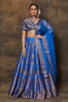 Buy_VISHWA BY PINKI SINHA_Blue Banarsi Silk Woven Floral Jaal Lehenga Set With Unstitched Blouse Piece _at_Aza_Fashions