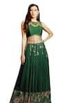 Aayushi Maniar_Green Lehenga Georgette And Crepe Silk Hand Embroidered Coi Shells With Blouse _Online_at_Aza_Fashions