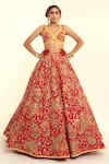 Rajbinder Chahal_Red Dupion Silk Print Paisley Geometric Embroidered Blouse And Lehenga Set _Online_at_Aza_Fashions