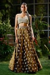 Buy_Payal & Zinal_Brown Gajji Silk Embroidery Pearl Ambrosia Motif Embellished Lehenga With Blouse _at_Aza_Fashions