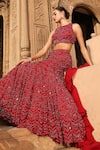 Shop_Niamh By Kriti_Red Silk Crepe Hand Embroidery Chevron High Neck Lehenga And Blouse Set 