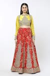 Debyani + Co_Red Printed Floral Closed Round Chota Gulab Organza Lehenga Set _Online_at_Aza_Fashions