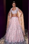 Buy_Angad Singh_Pink Net Embroidery Sequin Leaf Neck Tonal Bridal Lehenga Set _at_Aza_Fashions