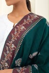 Buy_Pashme Ladakh_Green Embroidered Paisley Woven Pashmina Shawl 