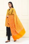 Buy_Pashme Ladakh_Yellow Embroidered Floral Jaal Colourblock Pashmina Shawl _at_Aza_Fashions