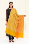 Shop_Pashme Ladakh_Yellow Embroidered Floral Jaal Colourblock Pashmina Shawl _at_Aza_Fashions