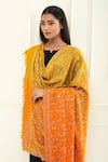 Shop_Pashme Ladakh_Yellow Embroidered Floral Jaal Colourblock Pashmina Shawl _Online_at_Aza_Fashions