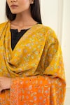 Buy_Pashme Ladakh_Yellow Embroidered Floral Jaal Colourblock Pashmina Shawl 