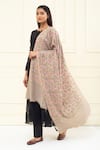 Buy_Pashme Ladakh_Beige Embroidered Vine Woven Pashmina Shawl _at_Aza_Fashions