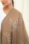 Buy_Pashme Ladakh_Brown Embroidered Jasmine Pashmina Shawl 