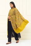 Buy_Pashme Ladakh_Green Embroidered Floral Mix Vine Pashmina Shawl _at_Aza_Fashions