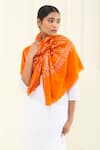 Buy_Pashme Ladakh_Orange Embroidered Blossom Jaali Pashmina Stole _at_Aza_Fashions