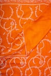 Buy_Pashme Ladakh_Orange Embroidered Blossom Jaali Pashmina Stole _Online_at_Aza_Fashions