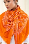 Shop_Pashme Ladakh_Orange Embroidered Blossom Jaali Pashmina Stole _Online_at_Aza_Fashions