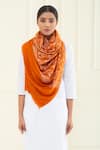 Buy_Pashme Ladakh_Orange Embroidered Jaali Pashmina Stole _at_Aza_Fashions