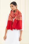 Shop_Pashme Ladakh_Red Embroidered Floral Vine Pashmina Stole _Online_at_Aza_Fashions