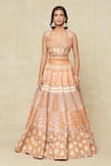 Buy_Aisha Rao_Orange Embroidered Floral Square Lehenga Set _Online_at_Aza_Fashions